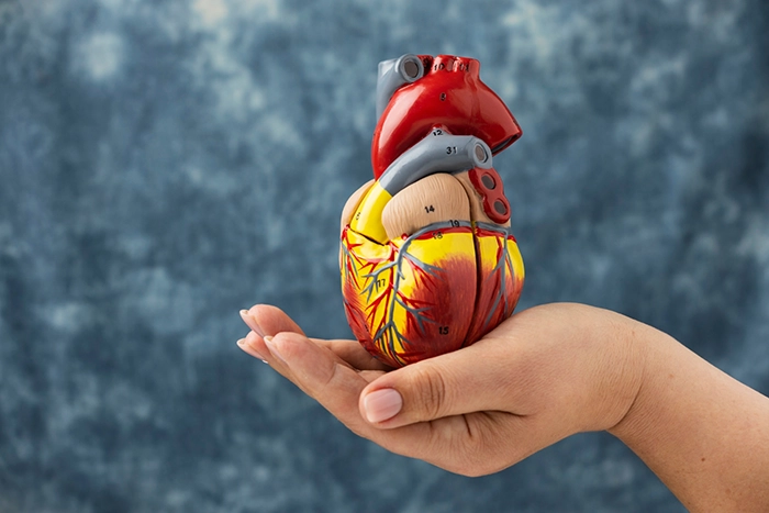 Managing your Cholesterol Levels