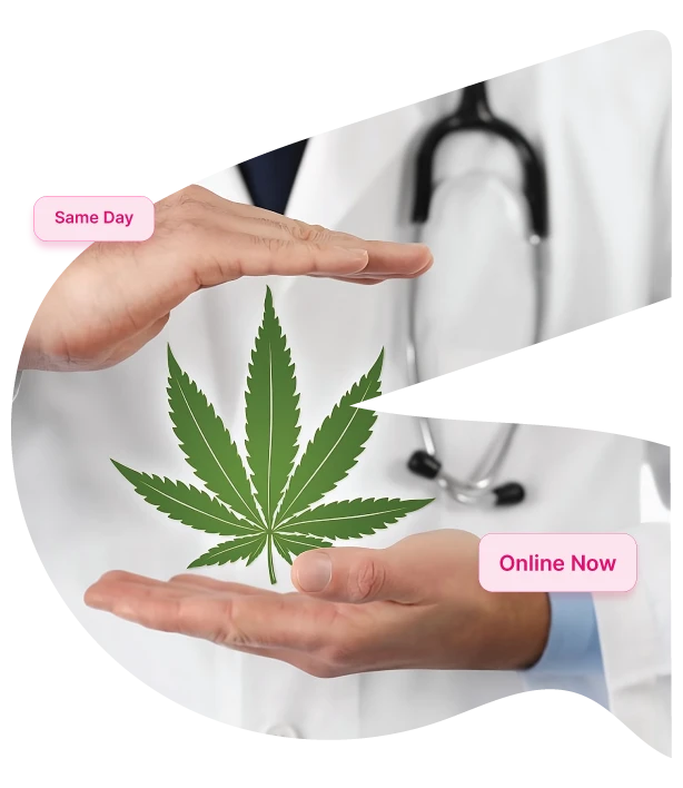 specialized-therapeutic